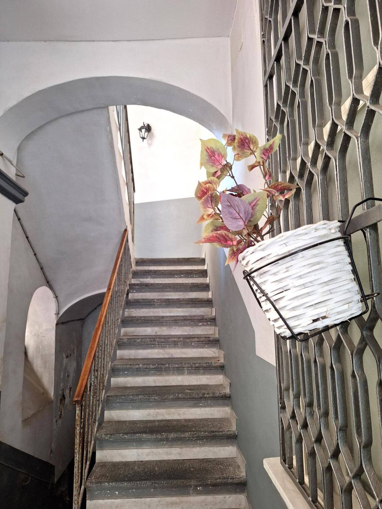La Casa Di Luale E Zoe Alloggio in famiglia *